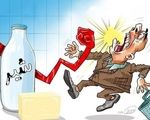 سخنگوی انجمن لبنیات در واکنش به گرانی؛این صنعت نیاز به متولی خاص ندارد