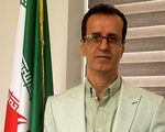 قیمت جدید مرغ اعلام شد/ مرغ گران شد

