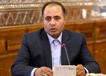 نوری قزلجه: ۲۰ درصد اشتغال کشور در بخش کشاورزی است
