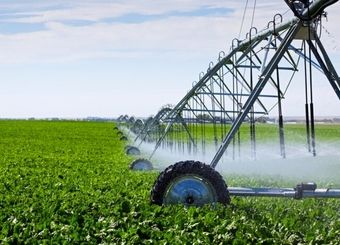 فاصله سیاست‌ها و برنامه‌ها؛ از آب تا امنیت غذایی
