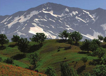 بهره‌کشی از زاگرس به نام بهره‌برداری
