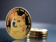 نخستین ETF دوج‌کوین رونمایی شد / بازار آماده جهش یا سقوط؟
