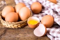 قیمت تخم‌ مرغ امروز اول شهریور ۱۴۰۴ چند؟