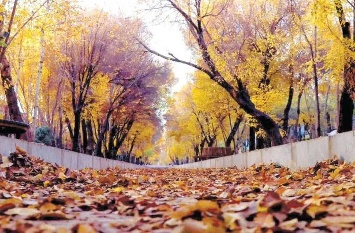 پاییز گرم در راه است؛ دمای کشور ۶ درجه بالاتر از سال گذشته