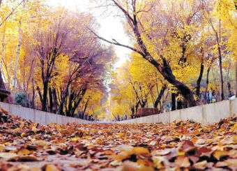 پاییز گرم در راه است؛ دمای کشور ۶ درجه بالاتر از سال گذشته