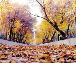 پاییز گرم در راه است؛ دمای کشور ۶ درجه بالاتر از سال گذشته