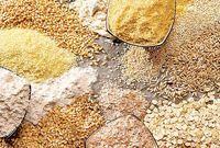 ۲ کشتی ۱۳۸ هزار تنی نهاده دامی در لنگرگاه در نوبت پهلو گیری هستند