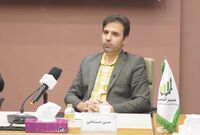 سردرگمی ارزی دولت/ حسن‌خانی: به نام تک‌نرخی‌سازی، شوک ارزی ایجاد نکنیم
