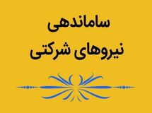 خبر جدید از ساماندهی نیروهای شرکتی/ تصمیم نهایی اعلام شد
