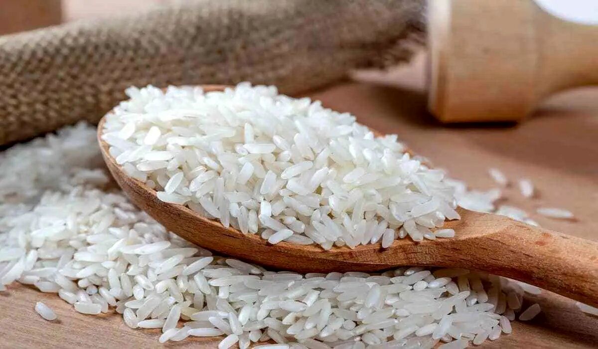 قیمت برنج و گندم در بازار جهانی
