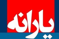 چرا یک میلیون ایرانی خارج‌نشین یارانه می‌گیرند؟
