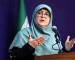 مهاجرانی: قطع برق و گاز صنایع ممنوع است

