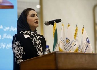 واردات ته‌لنجی به اقتصاد کشور ضربه می‌زند