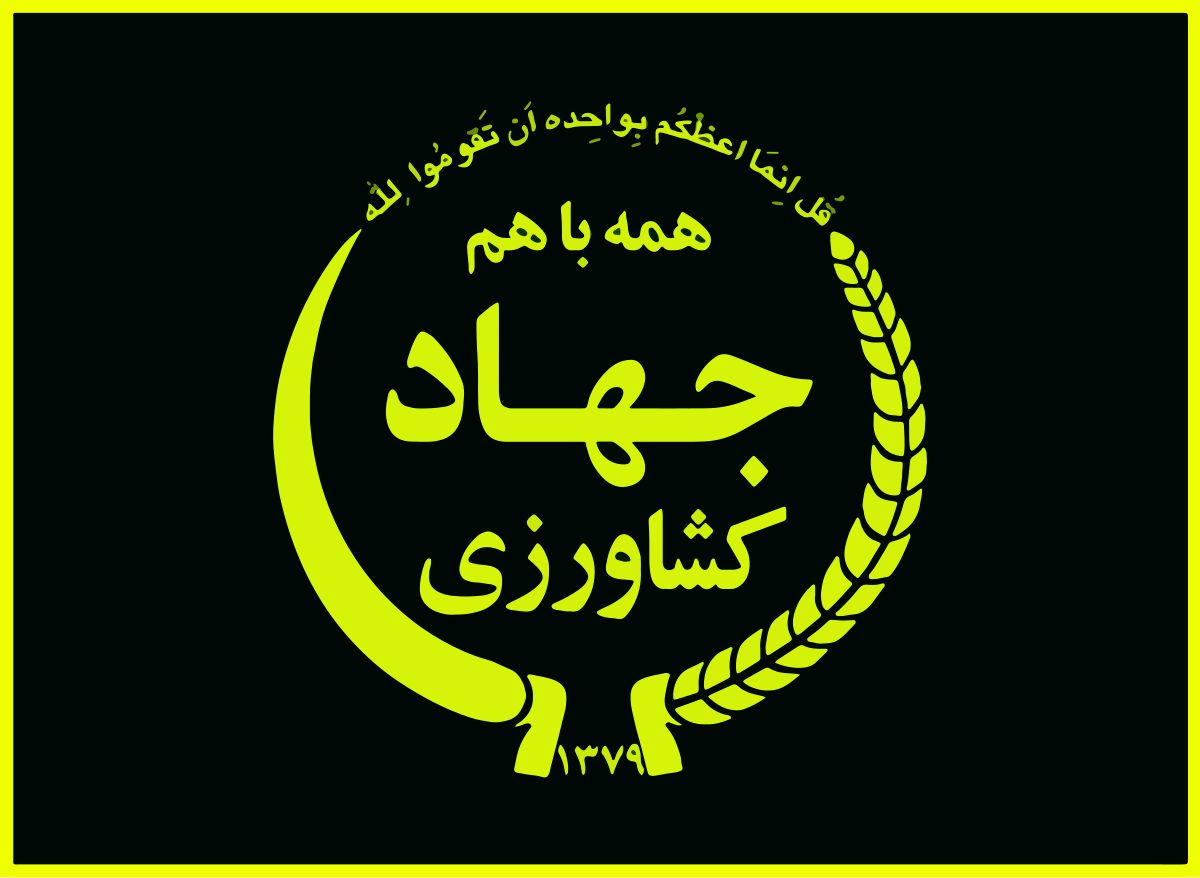 سقف واردات دانه‌های روغنی و کنجاله افزایش یافت
