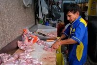 کاهش قیمت مرغ در بازار / هر کیلو مرغ گرم ۲۱۰ هزار تومان شد