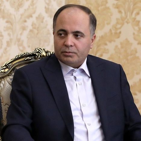 وزیر جهاد: صنعت زنبورداری در تامین امنیت غذایی جهان موثر است
