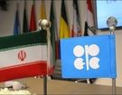 سیگنال تازه اوپک به بازار نفت / قیمت نفت ایران اعلام شد
