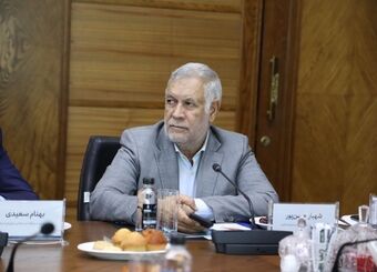شهباز حسن‌پور: گروه مالی گردشگری با سرمایه‌گذاری در کرمان، الگویی موفق از نقش‌آفرینی بخش خصوصی در توسعه استان است