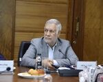 شهباز حسن‌پور: گروه مالی گردشگری با سرمایه‌گذاری در کرمان، الگویی موفق از نقش‌آفرینی بخش خصوصی در توسعه استان است