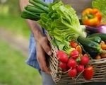 جهان برای تامین امنیت غذایی چاره‌ای جز پذیرش تراریخته‌ها ندارد
