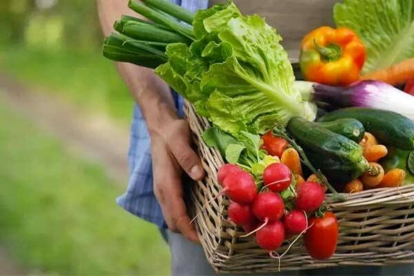 جهان برای تامین امنیت غذایی چارهای جز پذیرش تراریختهها ندارد