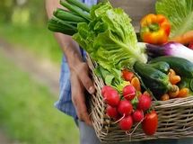 جهان برای تامین امنیت غذایی چاره‌ای جز پذیرش تراریخته‌ها ندارد
