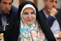 مکانیسم ماشه چیزی بیشتر از تحریم‌های فعلی نیست/ باید از ظرفیت هند و چین برای تامین کالاهای اساسی استفاده کنیم