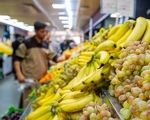 میدان بزرگ میوه و تره‌بار قیمت عمده میوه و سبزیجات را تعیین کرد
