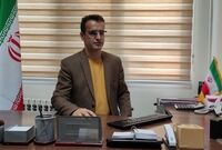 قیمت واقعی مرغ اعلام شد/ بیشتر از این رقم پول مرغ ندهید
