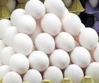 مهار اختلاف قیمت با شناسنامه‌دار شدن تخم‌مرغ / مشکلی در تامین بازار نداریم
