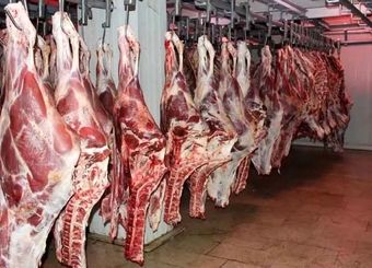 تامین پایدار گوشت، مرغ، لبنیات و تخم مرغ