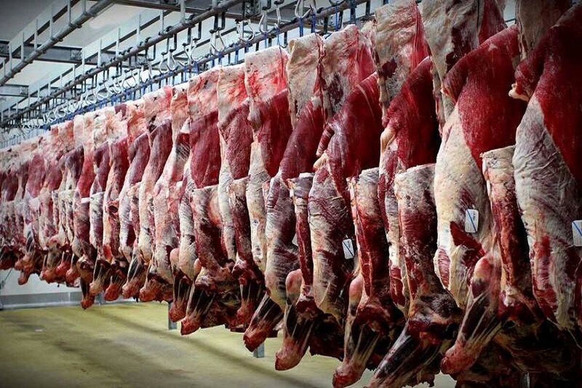افزایش ۲۸ درصدی تولید گوشت قرمز/ تهران قطب اصلی تولید گوشت کشور
