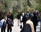 هر چه با سوادتر بیکارتر؛ ۵۱ درصد بیکاران، فارغ‌التحصیلان دانشگاه هستند
