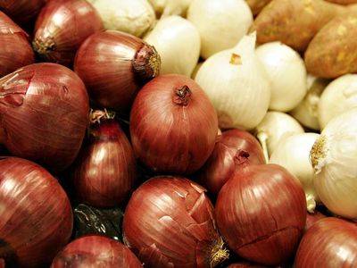 پس از گوجه فرنگی، نوبت به گرانی پیاز رسید!/ پیاز کمیاب شد