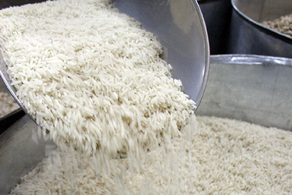 برنج کیلویی 15 هزارتومان خودسرانه است/ برنج در خرده فروشی‌های گیلان  بیشتر از 8000 تومان نیست