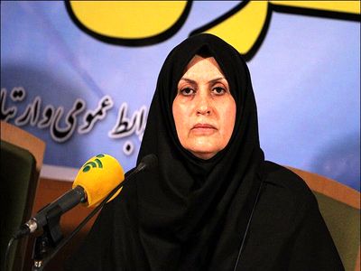 در جلسه هفته پیش با زنگنه و ابتکار به این نتیجه رسیدیم که بنزین نقشی در آلودگی هوا ندارد!