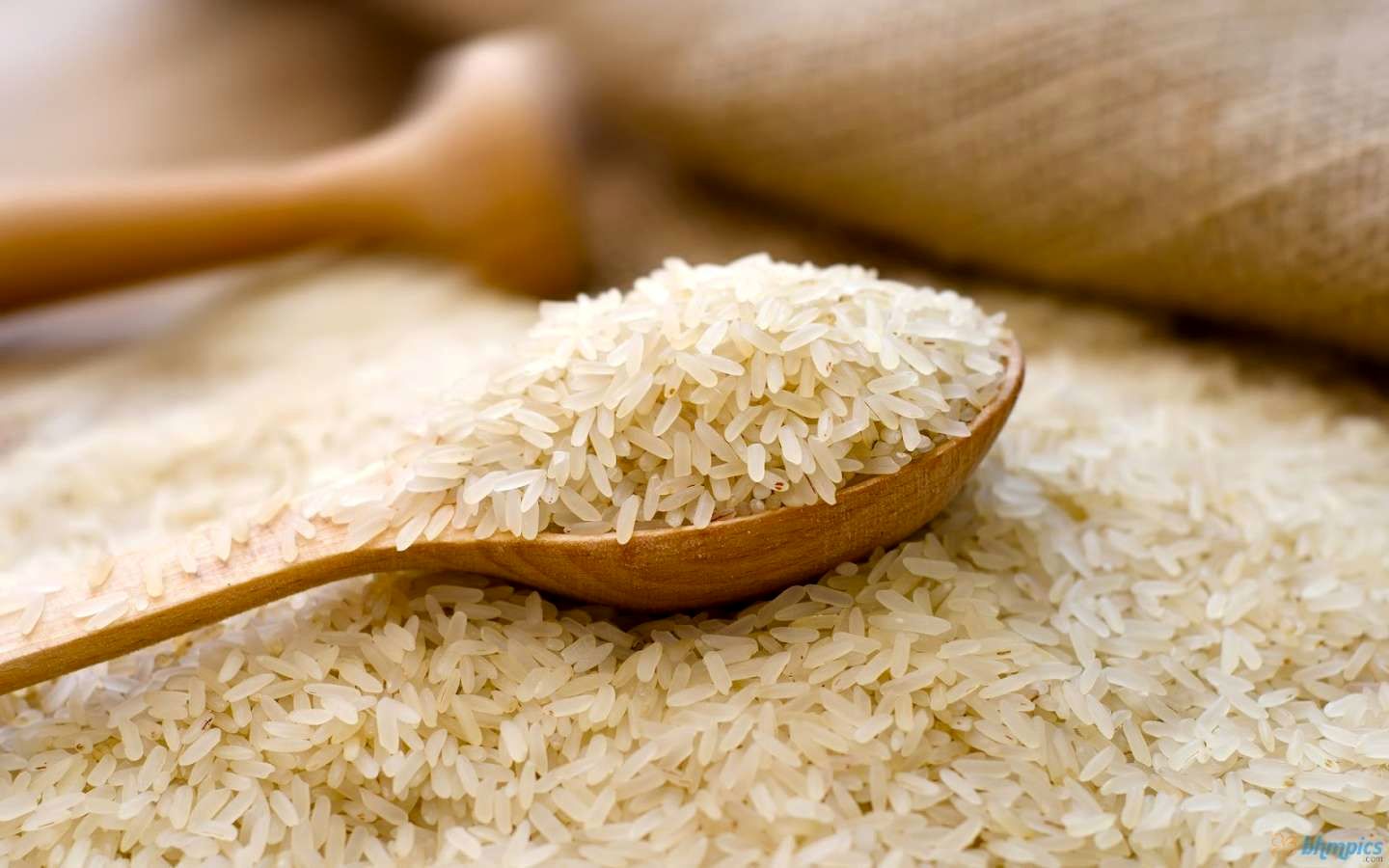 خرید برنج از آمریکا برای وزارت جهاد حاشیه ساز شد
