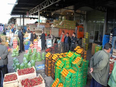 کشاورزی ایران در بدترین وضعیت 12 سال اخیر قرار دارد/ به جز پیازکاران همه کشاورزان ضرر کردند