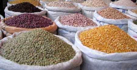 واردات حبوبات به صرفه است/ ایران بزرگترین واردکننده عدس از کاناداست/ حبوبات 10 تا 15 درصد گران شد