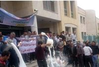 اعتراض دامداران به دلیل واردات بیش از حد است/ در 30 روز گذشته 13000 تن شیرخشک وارد کشور شد