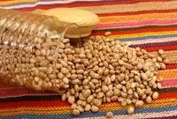 لوبیا چیتی 1500 تومان گران شد/ نمی‌دانم چرا برنج ارزان نشد!