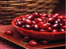 زغال اخته 18 هزار تومانی ارمنی در بازار/ واردات پرتقال از مصر و آفریقا