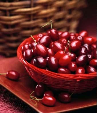 زغال اخته 18 هزار تومانی ارمنی در بازار/ واردات پرتقال از مصر و آفریقا