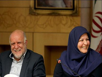 زیان 2800 میلیاردی یکی از بزرگترین پتروشیمی‌های کشور در دولت یازدهم!