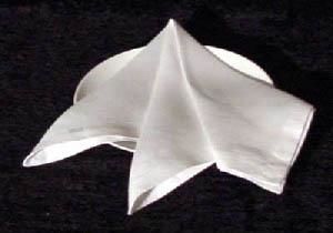 دولت یازدهم 27 تن دستمال مرطوب از یونان و لهستان وارد کرد/ امارات هم در لیست صادرکنندگان دستمال به ایران قرار گرفت!