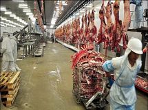 گرانی‌های سرسام آور گوشت، مرغ، برنج و میوه 40 روز مانده به عید نوروز!