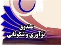 همکاری با اتاق بازرگانی خطری برای صندوق و شرکتهای دانش بنیان ندارد