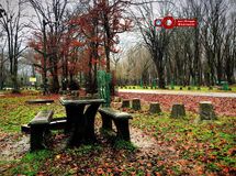 118 پارک‌ جنگلی شمال کشور برای روز طبیعت آماده شدند