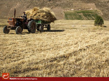 کشاورزان آذربایجان شرقی، قزوین و خراسان شمالی چه مقدار تسهیلات گرفتند؟