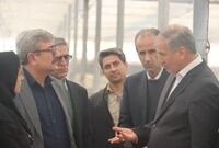 آثار خشکسالی و ناترازی انرژی؛ کاهش ۳۴ درصدی تولید گندم در سمنان
